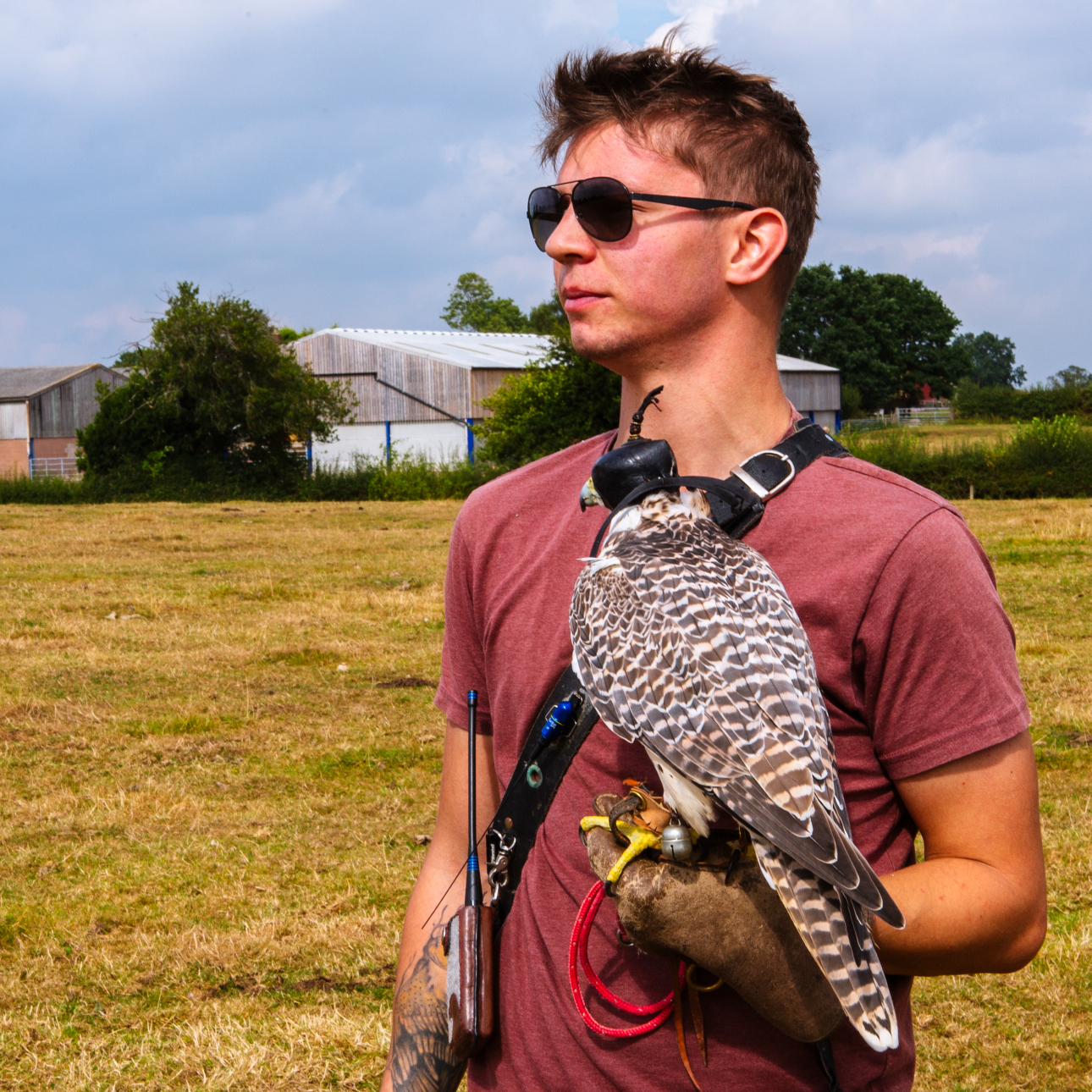 Falconer holding a Gyr Falcon