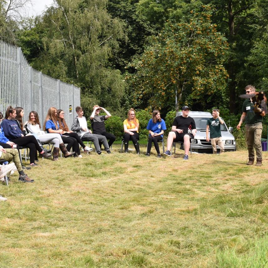 flying display during a bird of prey educational visit
