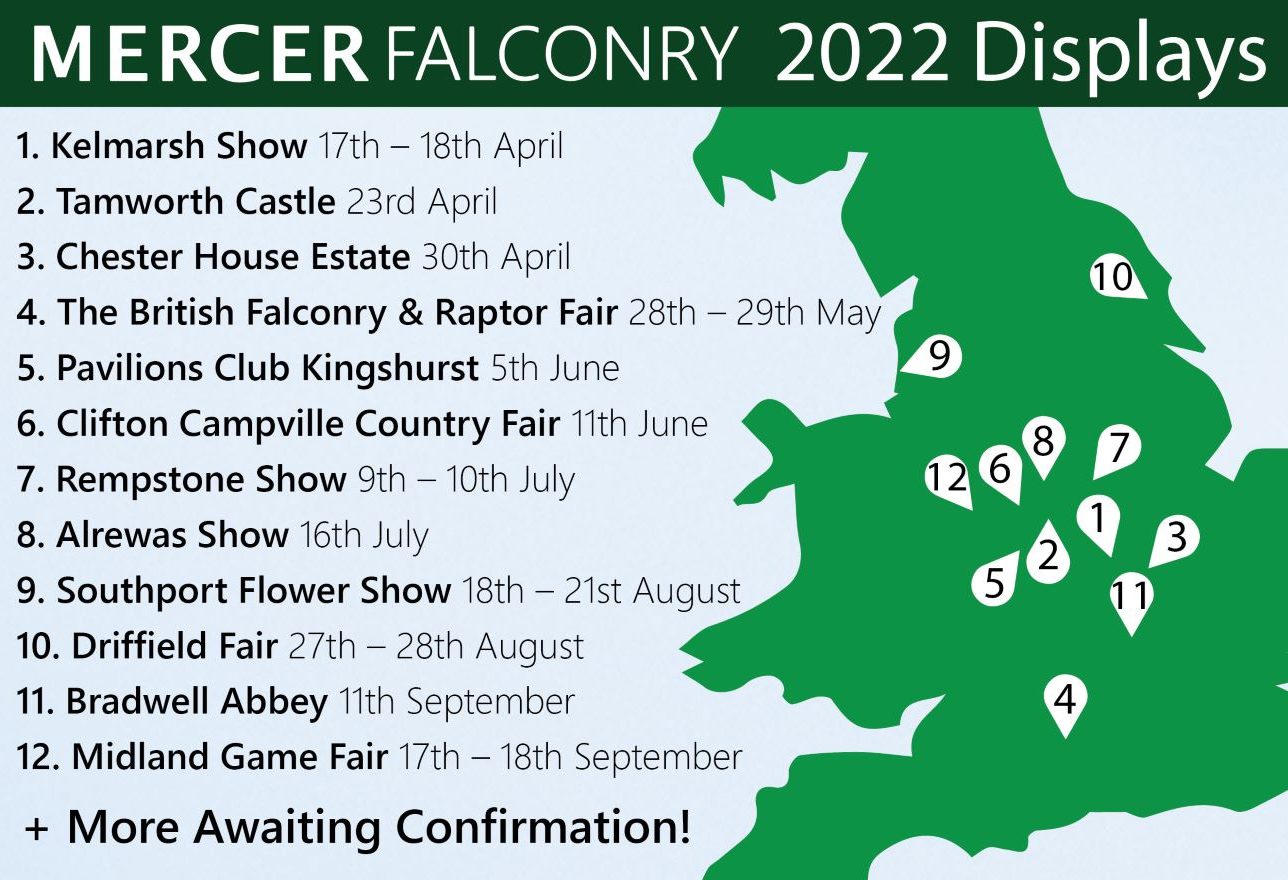 Timetable of events mercer falconry provided bird of prey and falconry displays at