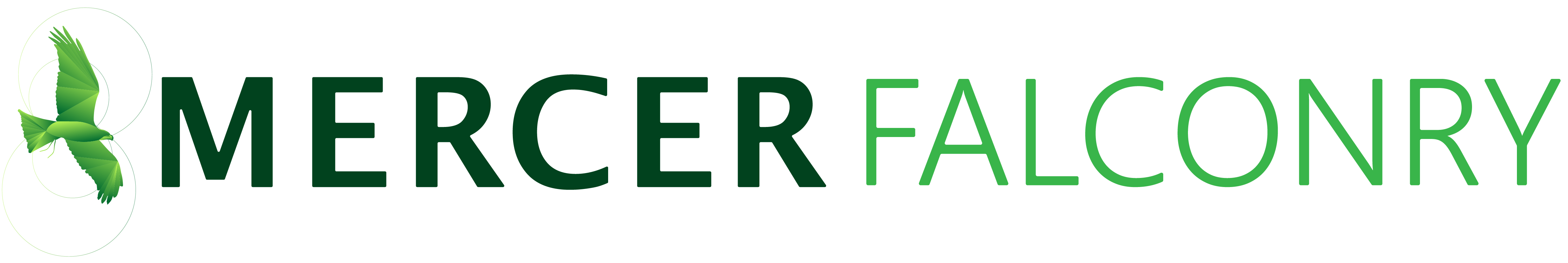 mercer falconry logo