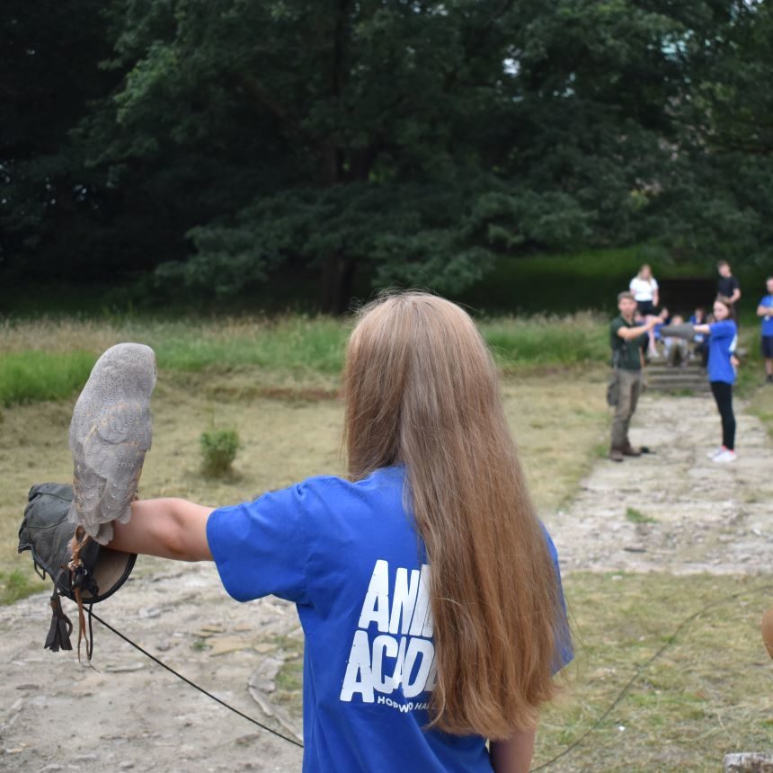 flying experience during a bird of prey educational visit