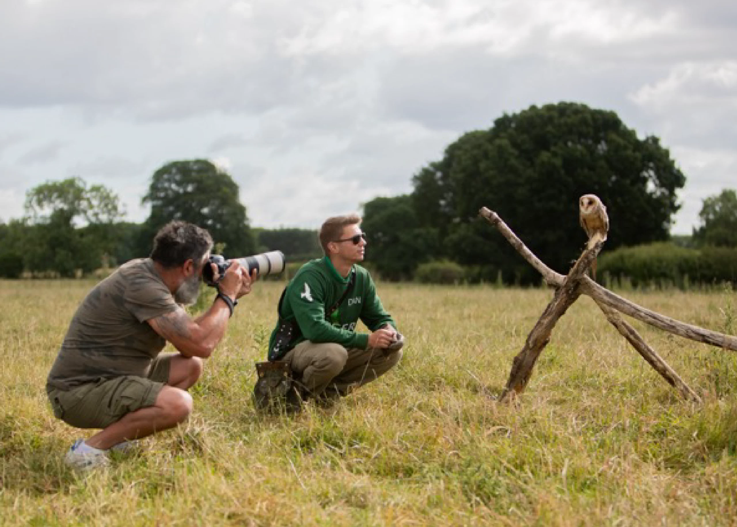 Bird of prey photography session