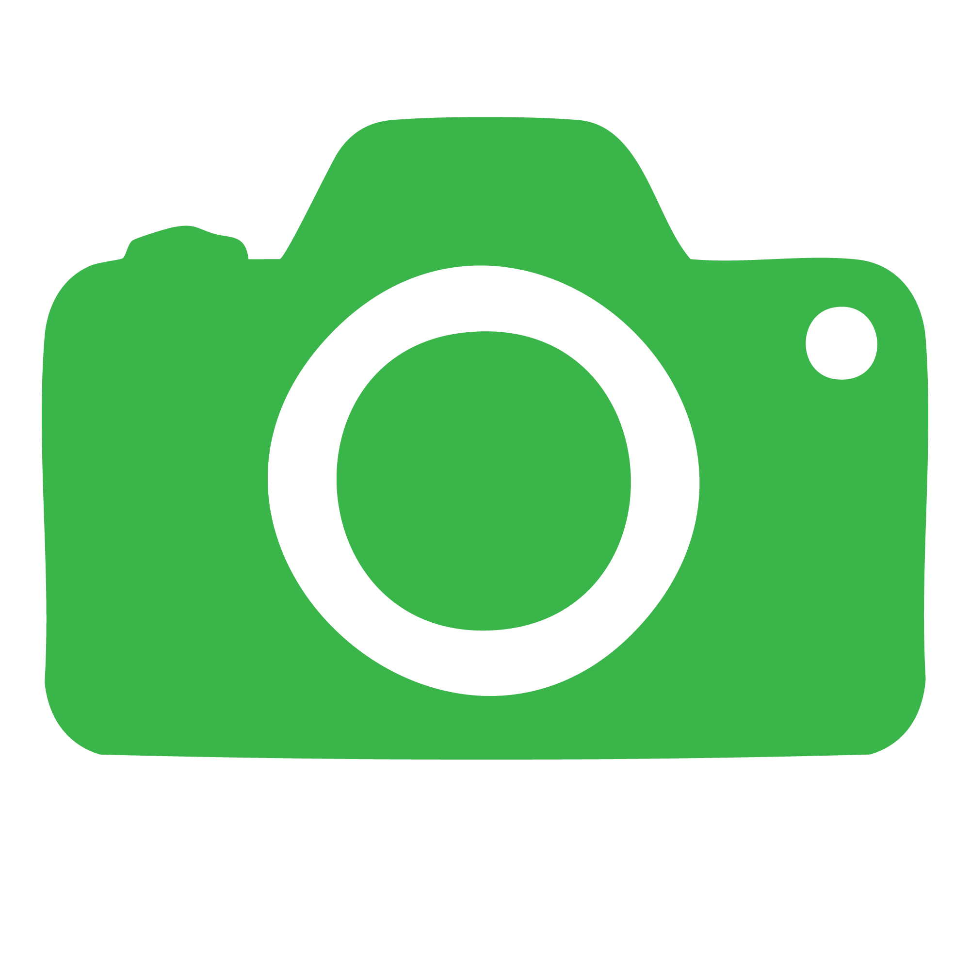 Photo opportunities at Mercer Falconry Raptor Park