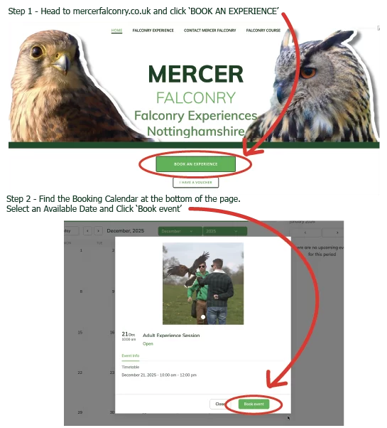 book a Falconry Experience 1