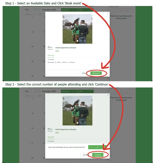 how to book a Falconry Experience 1